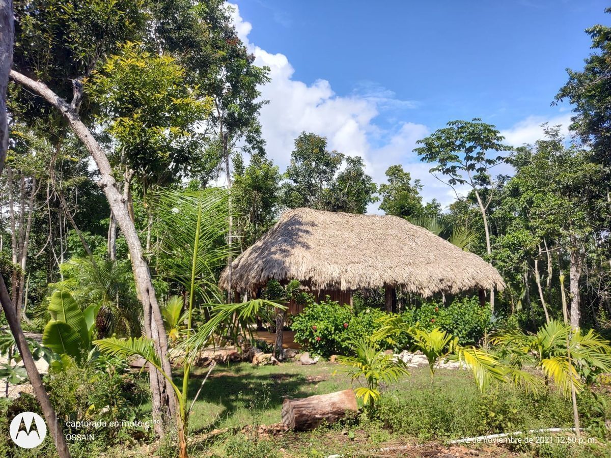 terreno-en-preventa-en-ejido-leona-vicario-puerto-morelos-quintana-roo2-18529