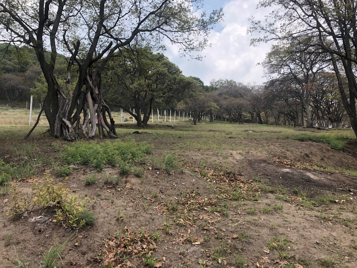 Terreno en Rancho Blanco zona esmeralda