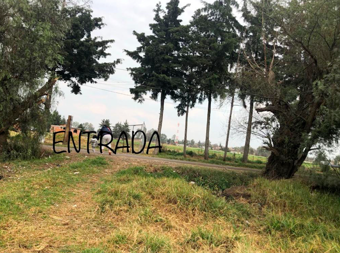 TERRENO EN RENTA EN SANTA BÁRBARA