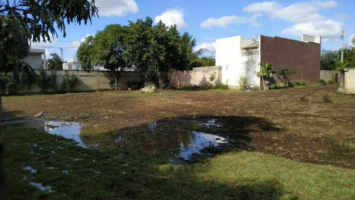 Terreno en Renta en Santa Rita Cholul. Mérida, Yucatán.