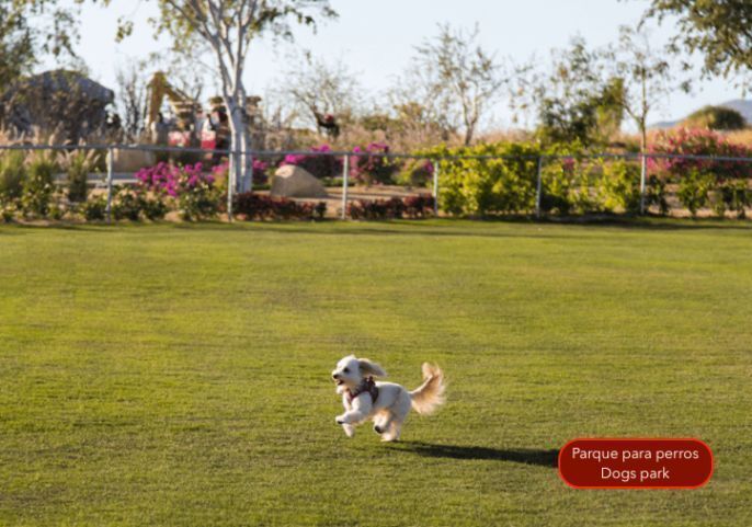 terreno-en-san-jos-del-cabo-centro-los-cabos17-7084