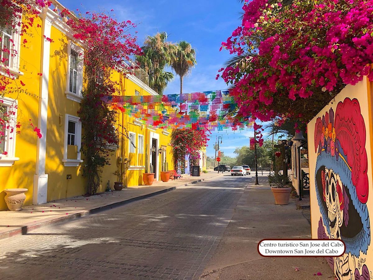 terreno-en-san-jos-del-cabo-centro-los-cabos18-7485