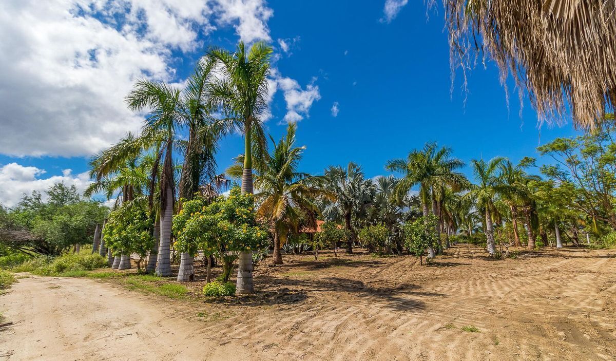 terreno-en-san-jos-del-cabo-centro-los-cabos9-7242