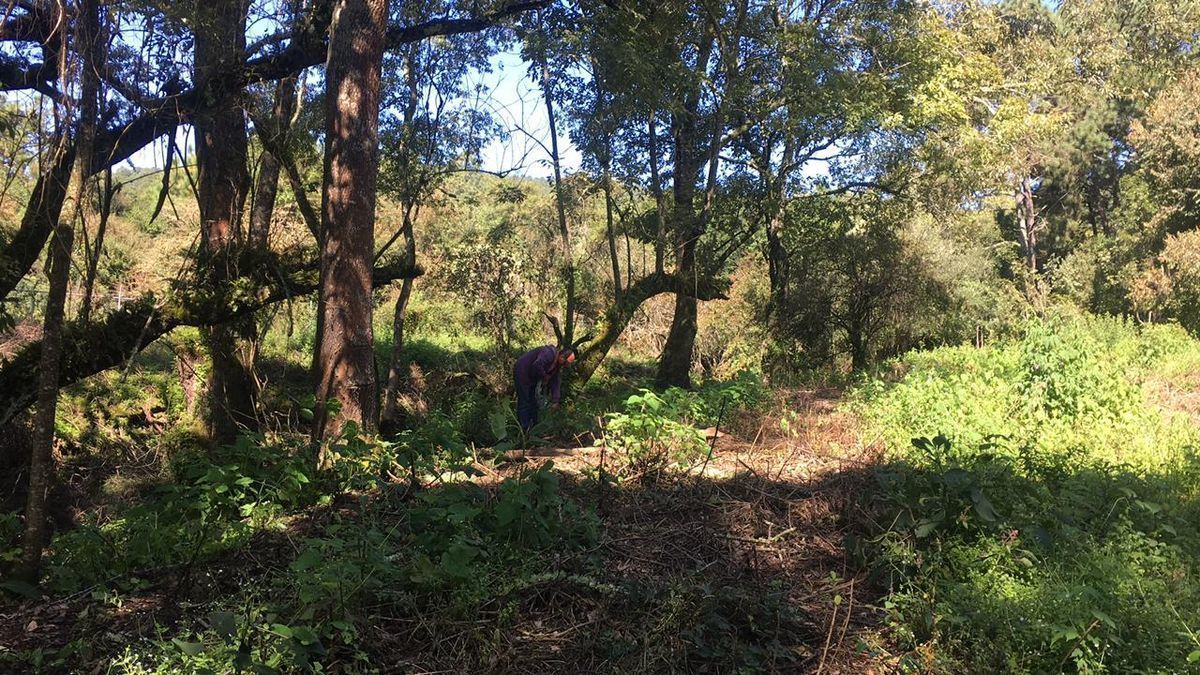 TERRENO EN TAPALPA ATRÁS EL COUNTRY CLUB