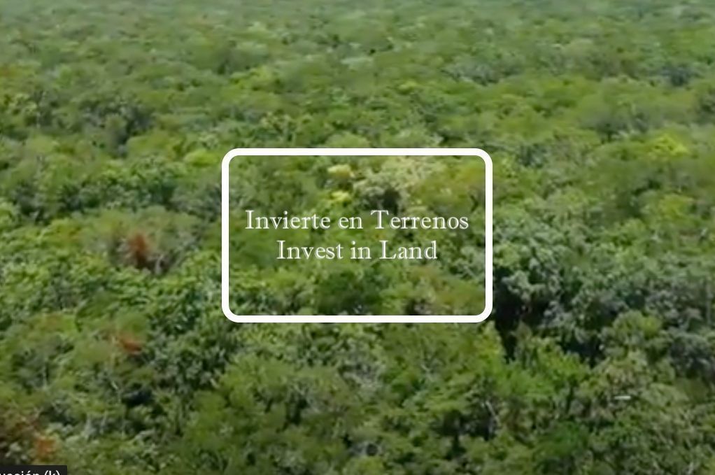 Terreno en Tulum Centro, Tulum