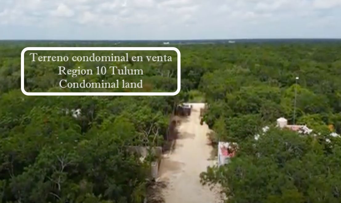 terreno-en-tulum-centro-tulum2-7845