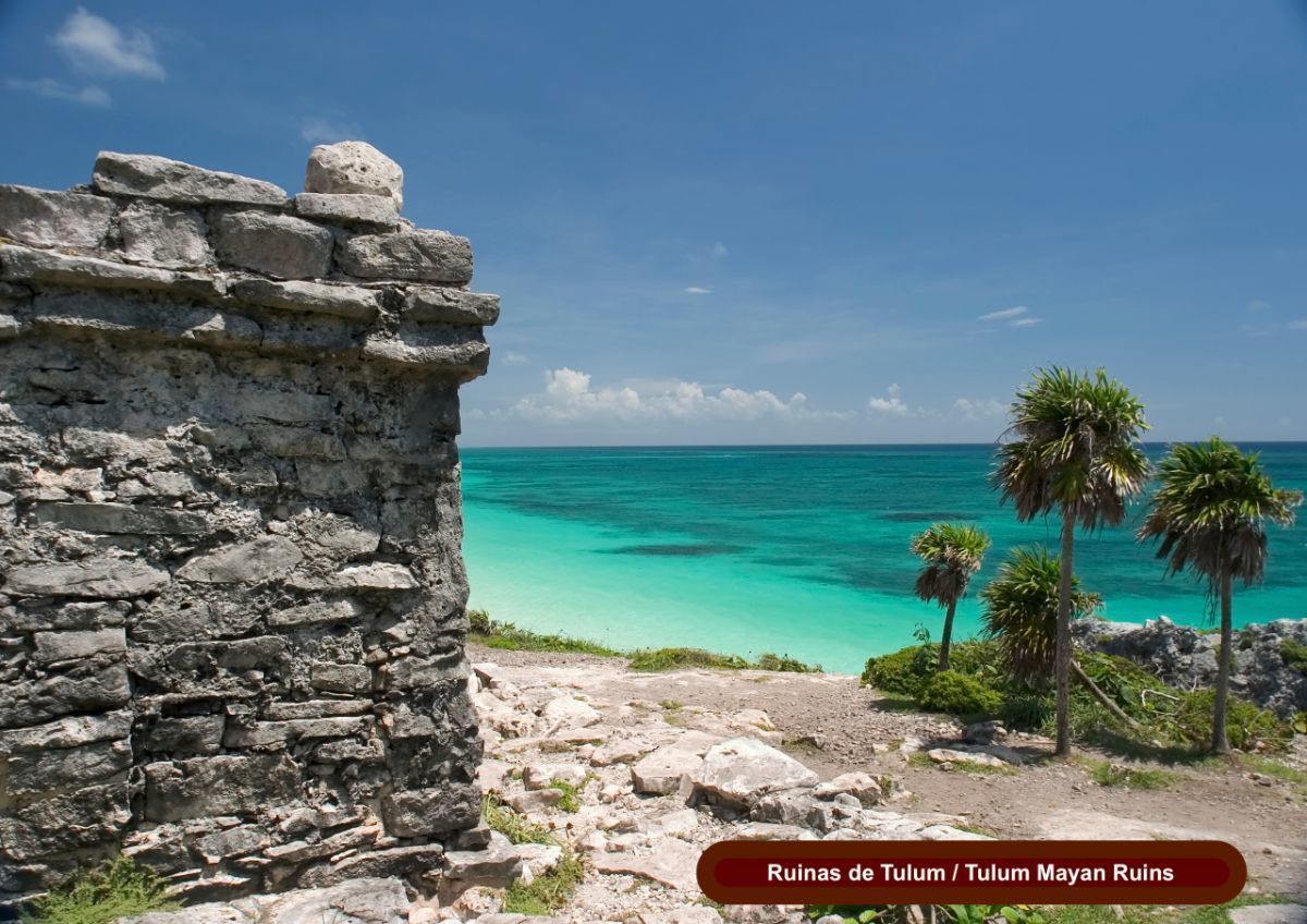 terreno-en-tulum-centro-tulum7-8286