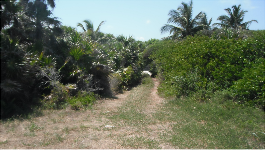 terreno-en-tulum5-36606