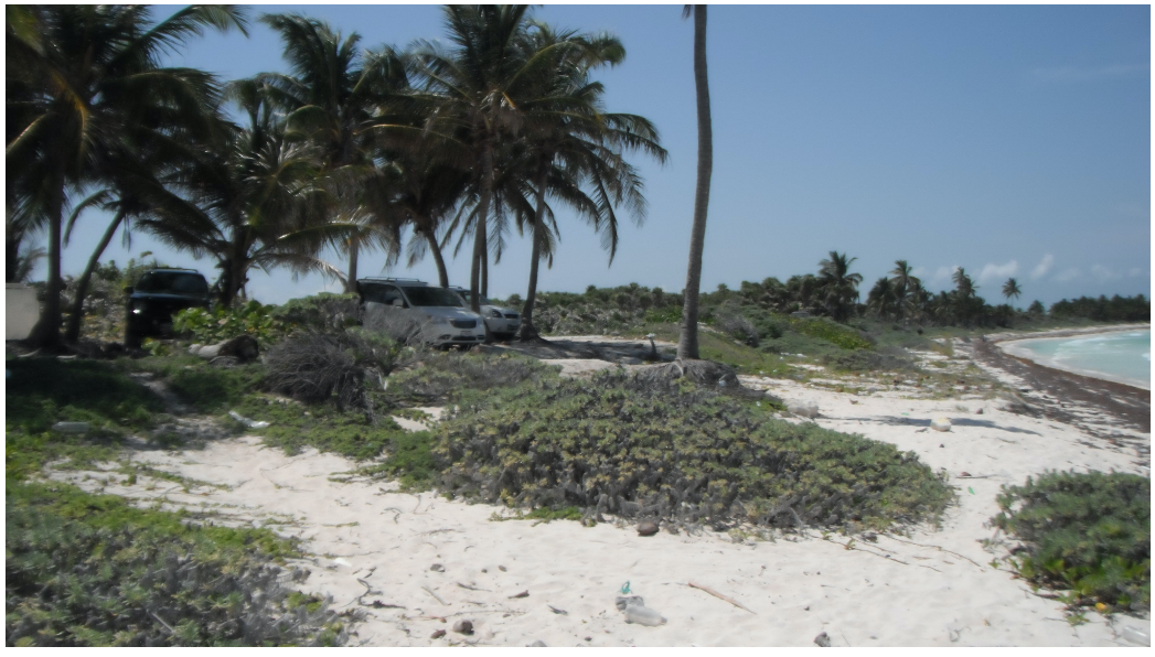 terreno-en-tulum6-36606