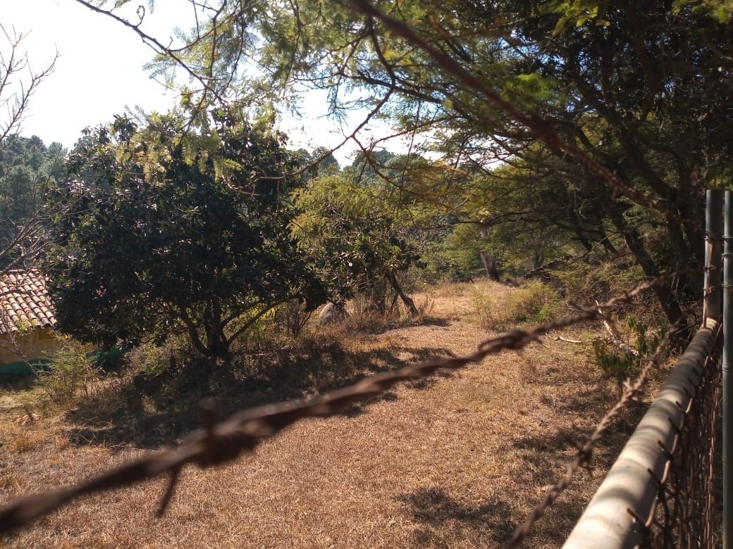 TERRENO EN VENTA  A BORDO DE CARRETERA EN UMECUARO, MICH