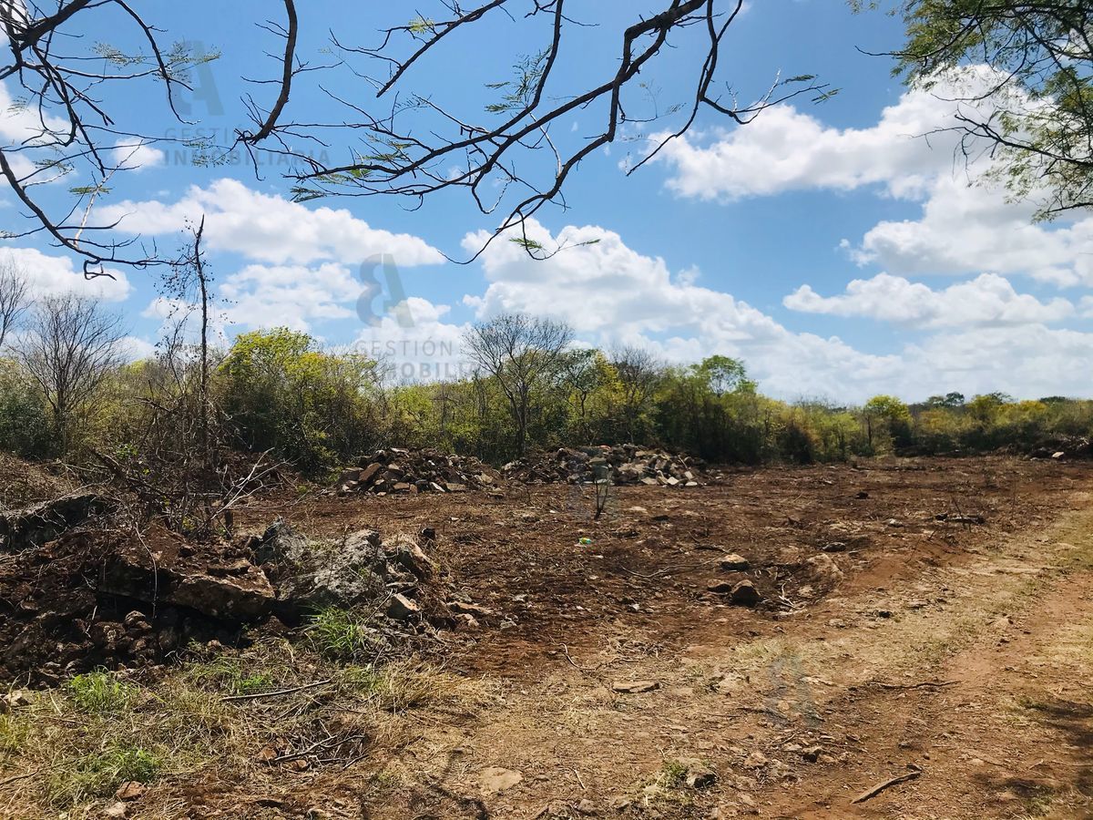 TERRENO EN VENTA  EN CHICHI SUÁREZ. MÉRIDA, YUCATÁN.CTV127.