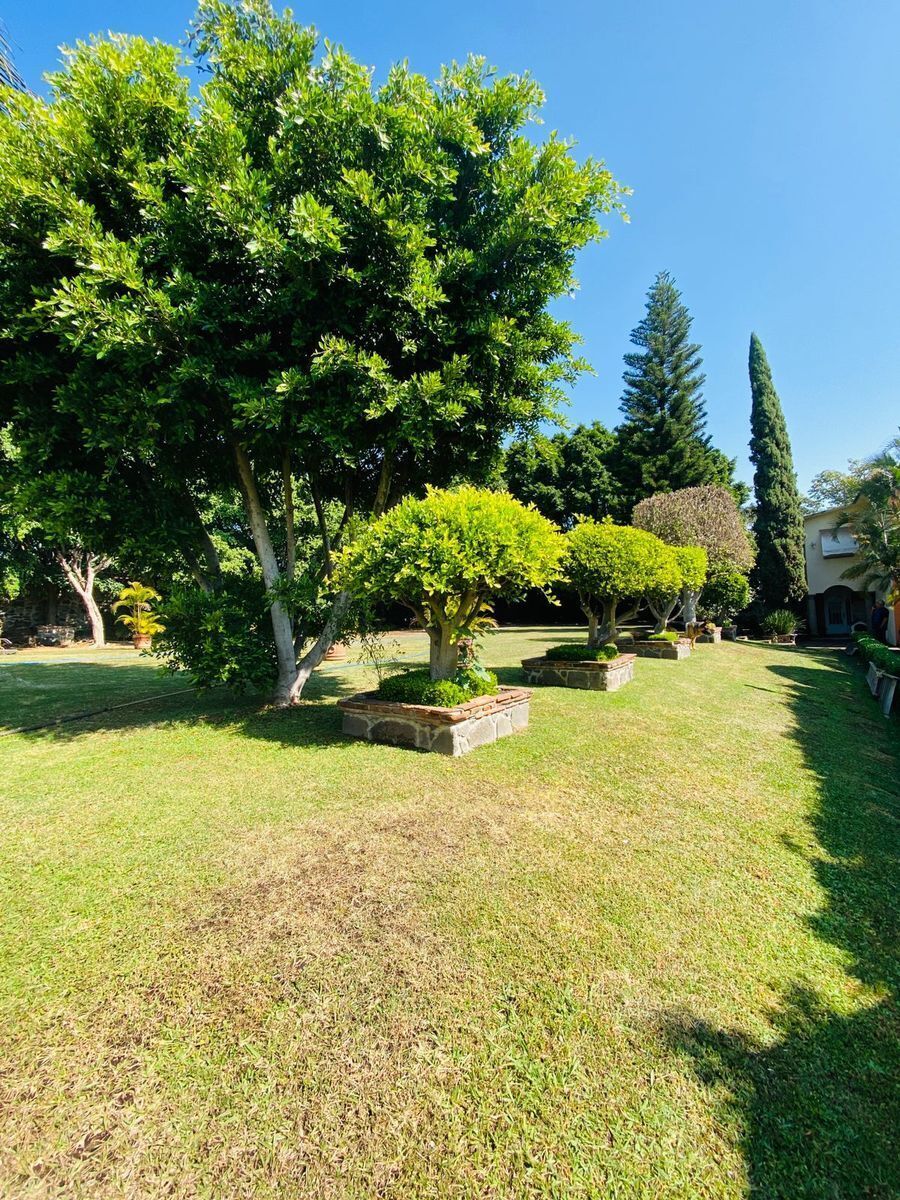 Terreno en Venta 1,276 m2 , Col. Delicias Cuernavaca $ 8,993,000