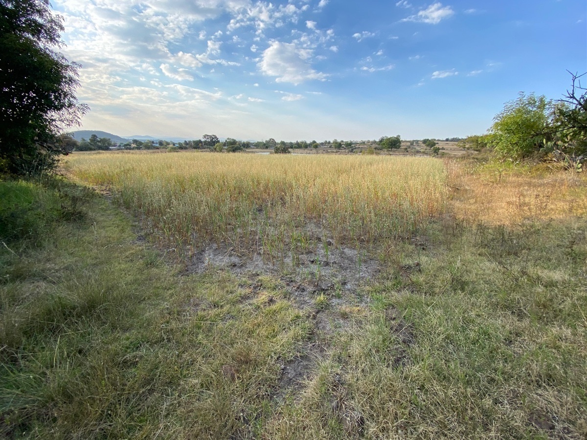 terreno-en-venta-a-150mts-de-carretera-mxqro-a-la-altura-de-encinillas11-18895