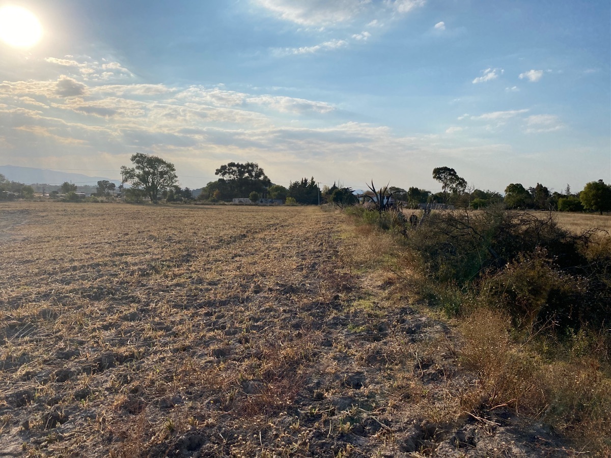 terreno-en-venta-a-150mts-de-carretera-mxqro-a-la-altura-de-encinillas12-18895