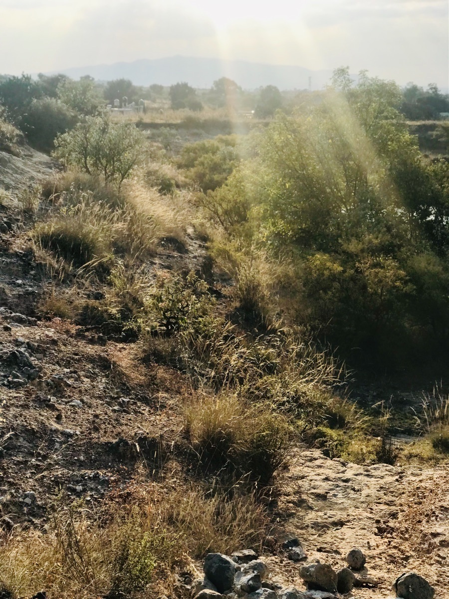 terreno-en-venta-a-150mts-de-carretera-mxqro-a-la-altura-de-encinillas17-18895