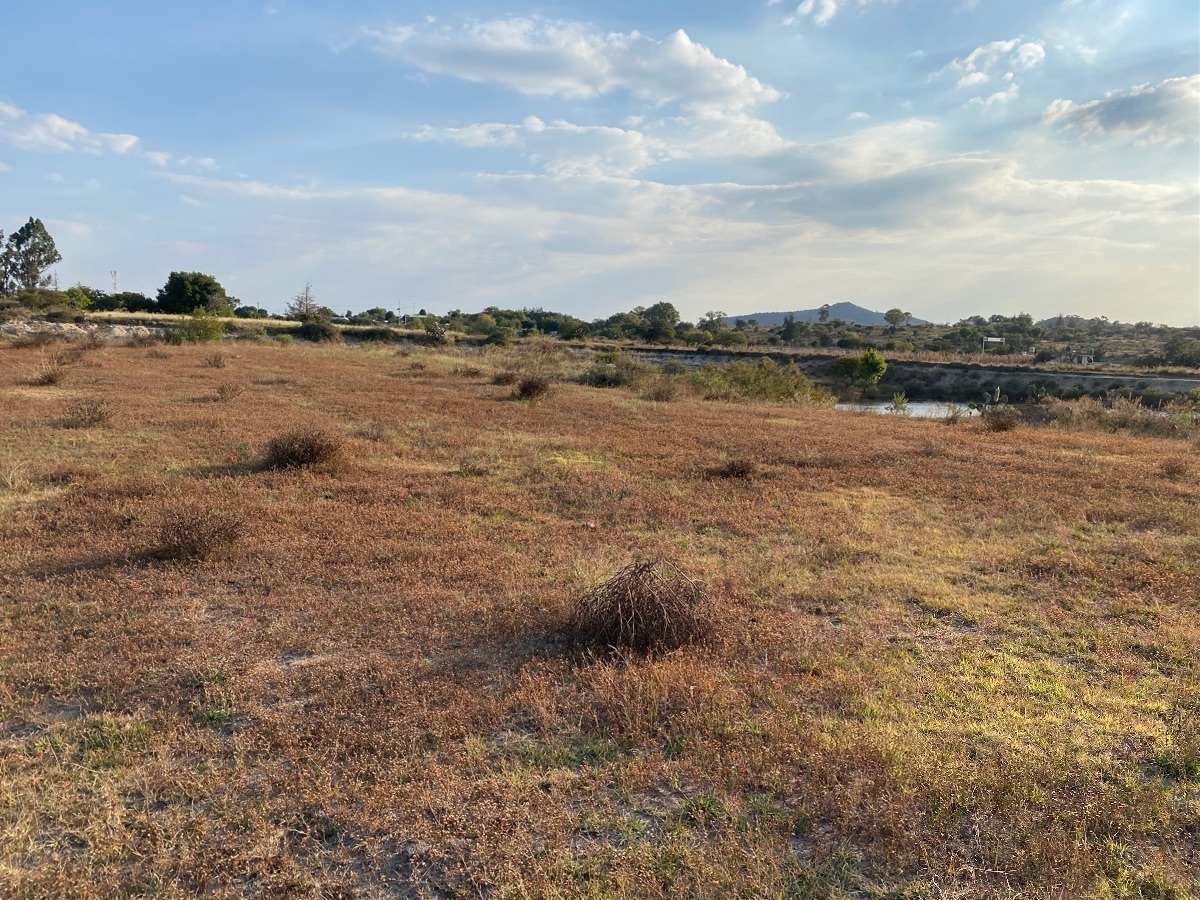 terreno-en-venta-a-150mts-de-carretera-mxqro-a-la-altura-de-encinillas8-18895