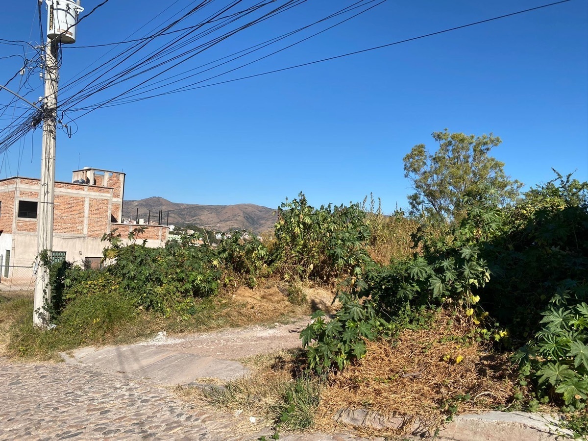 terreno-en-venta-atrs-de-blvd-euquerio-guerrero-cerca-de-steren-en-guanajuato4-30810