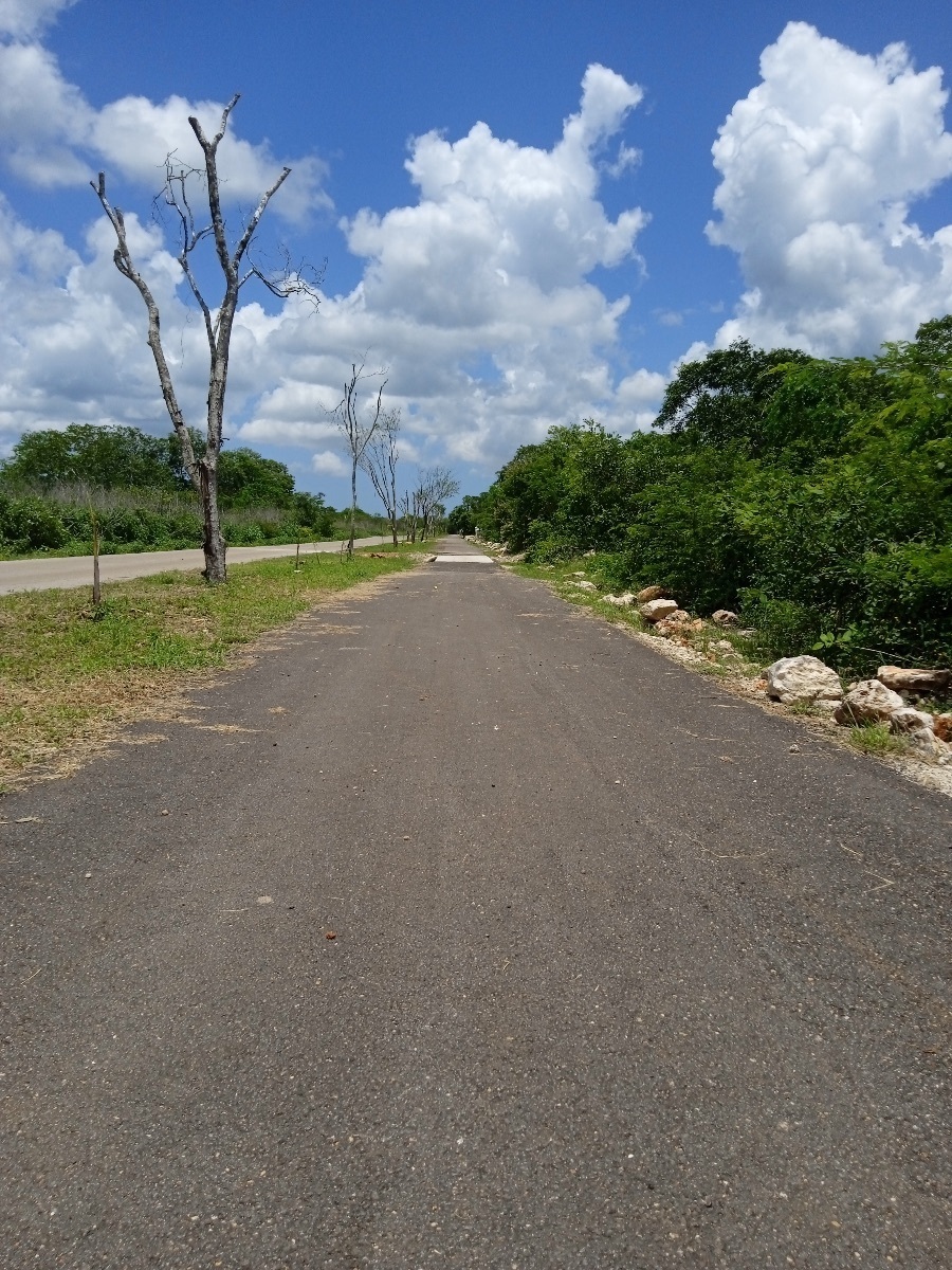 terreno-en-venta-bosques-de-chicxulub-pueblo21-18517