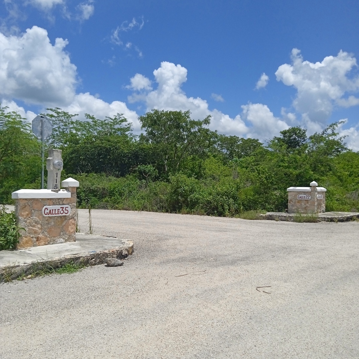 terreno-en-venta-bosques-de-chicxulub-pueblo24-18517