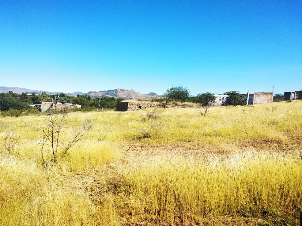 terreno-en-venta-campestre-cerca-de-la-presa-de-la-pursima-en-guanajuato-gto5-28929