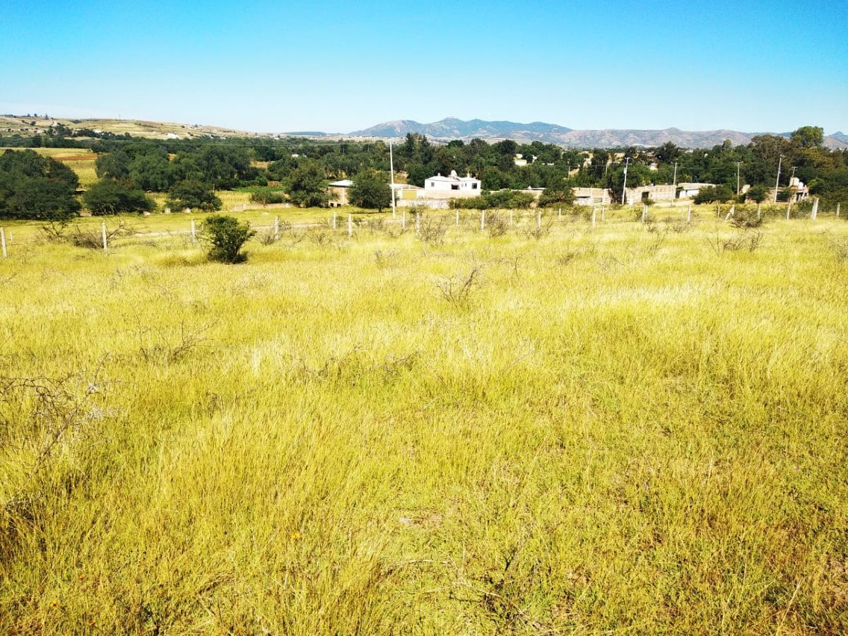 terreno-en-venta-campestre-cerca-de-la-presa-de-la-pursima-en-guanajuato-gto9-28929