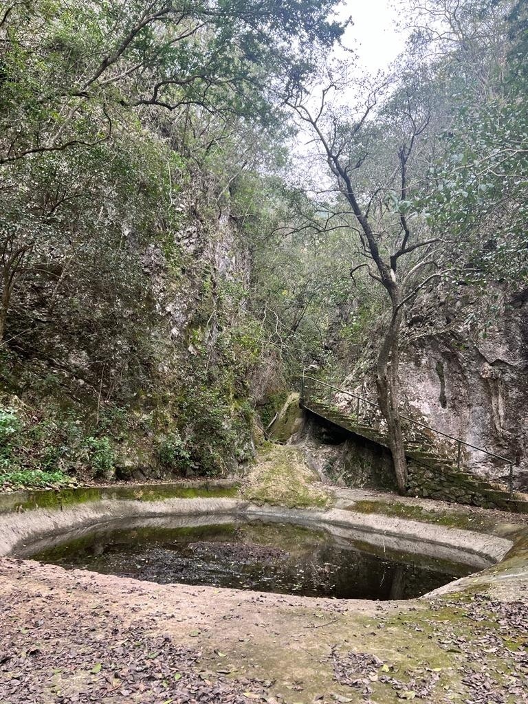 terreno-en-venta-carretera-nacional2-19288