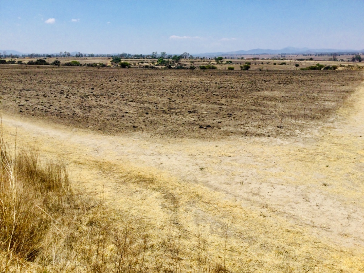 Terreno en Venta cerca de carretera Toluca Palmillas, San Antonio Polotitlán