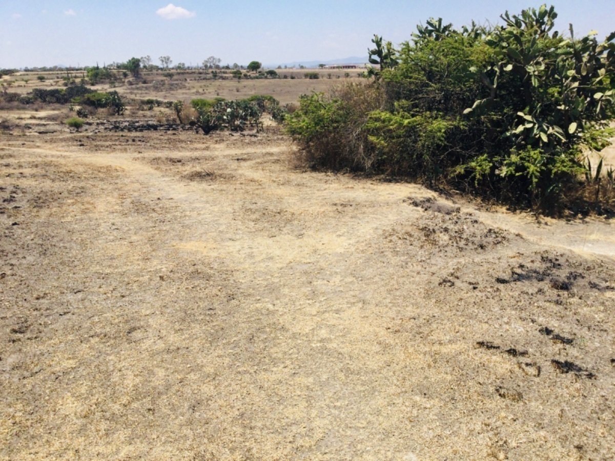 Terreno en Venta cerca de carretera Toluca Palmillas, San Antonio Polotitlán