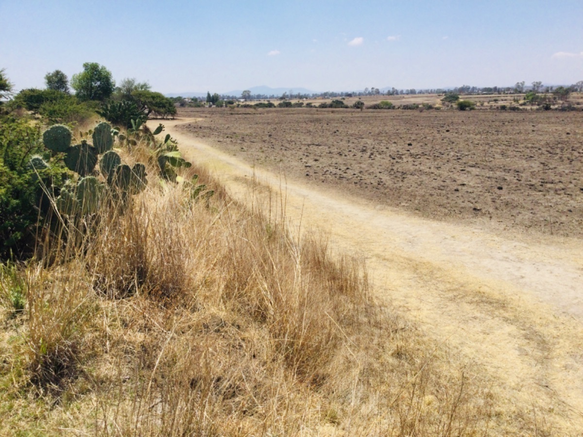 terreno-en-venta-cerca-de-carretera-toluca-palmillas-san-antonio-polotitln4-18896