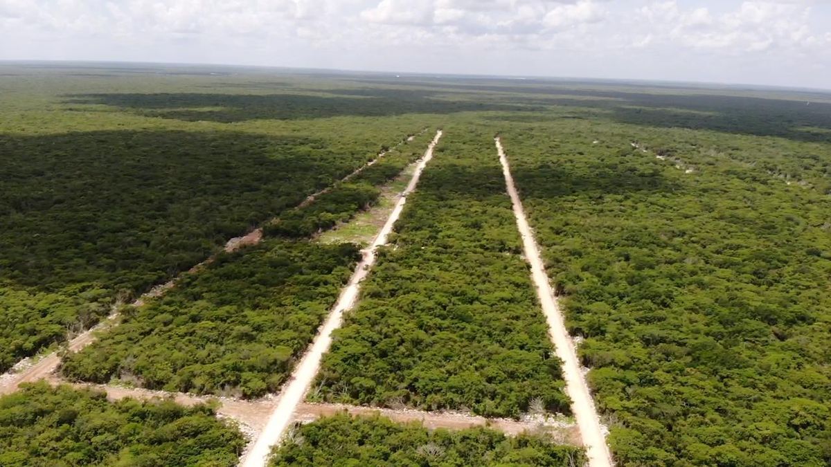 terreno-en-venta-cerca-de-la-playa-en-carretera-a-chicxulub-yucatn3-28267