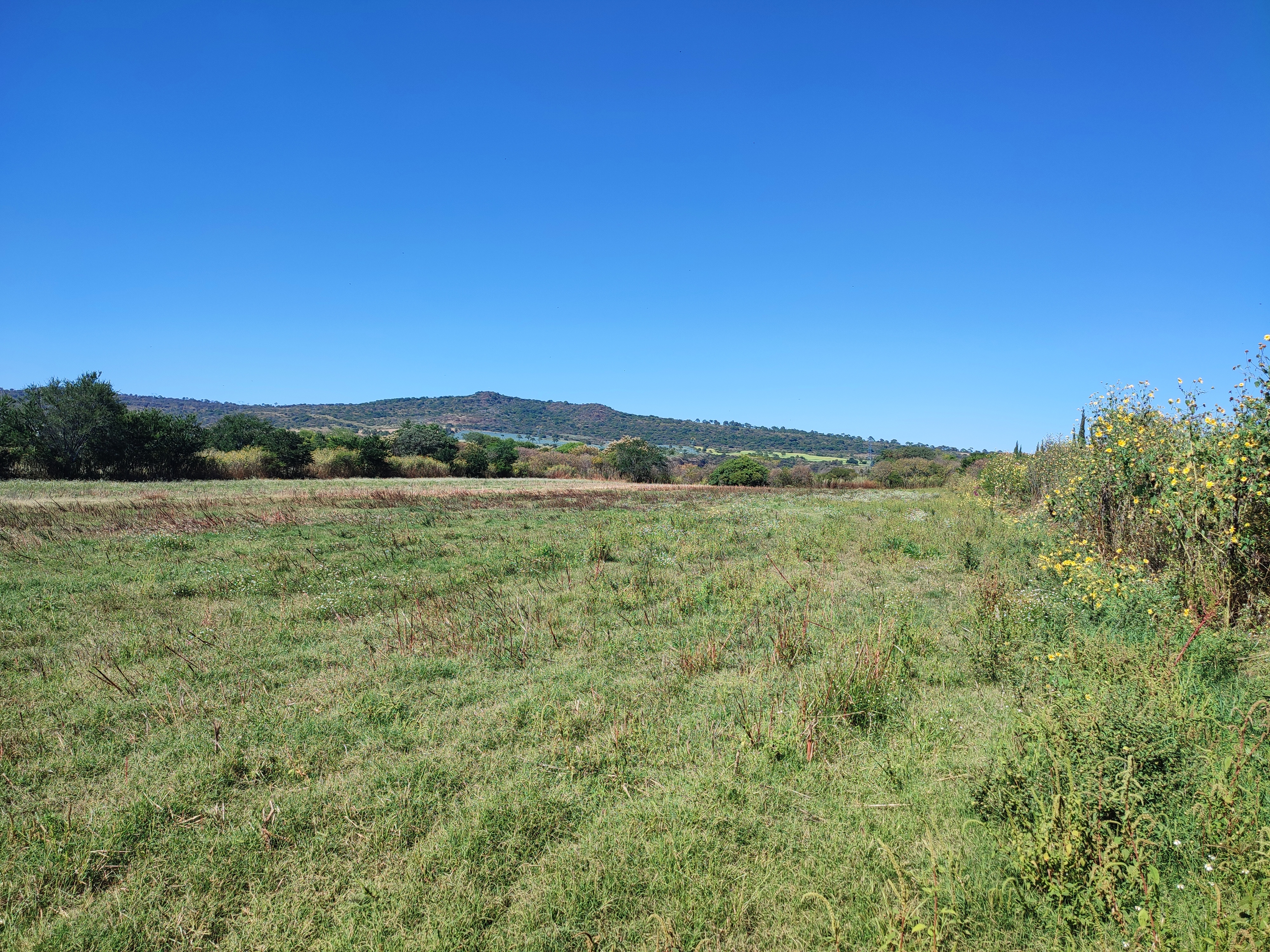 Terreno en Venta col. Matatlan, Zapotlanejo, Jalisco