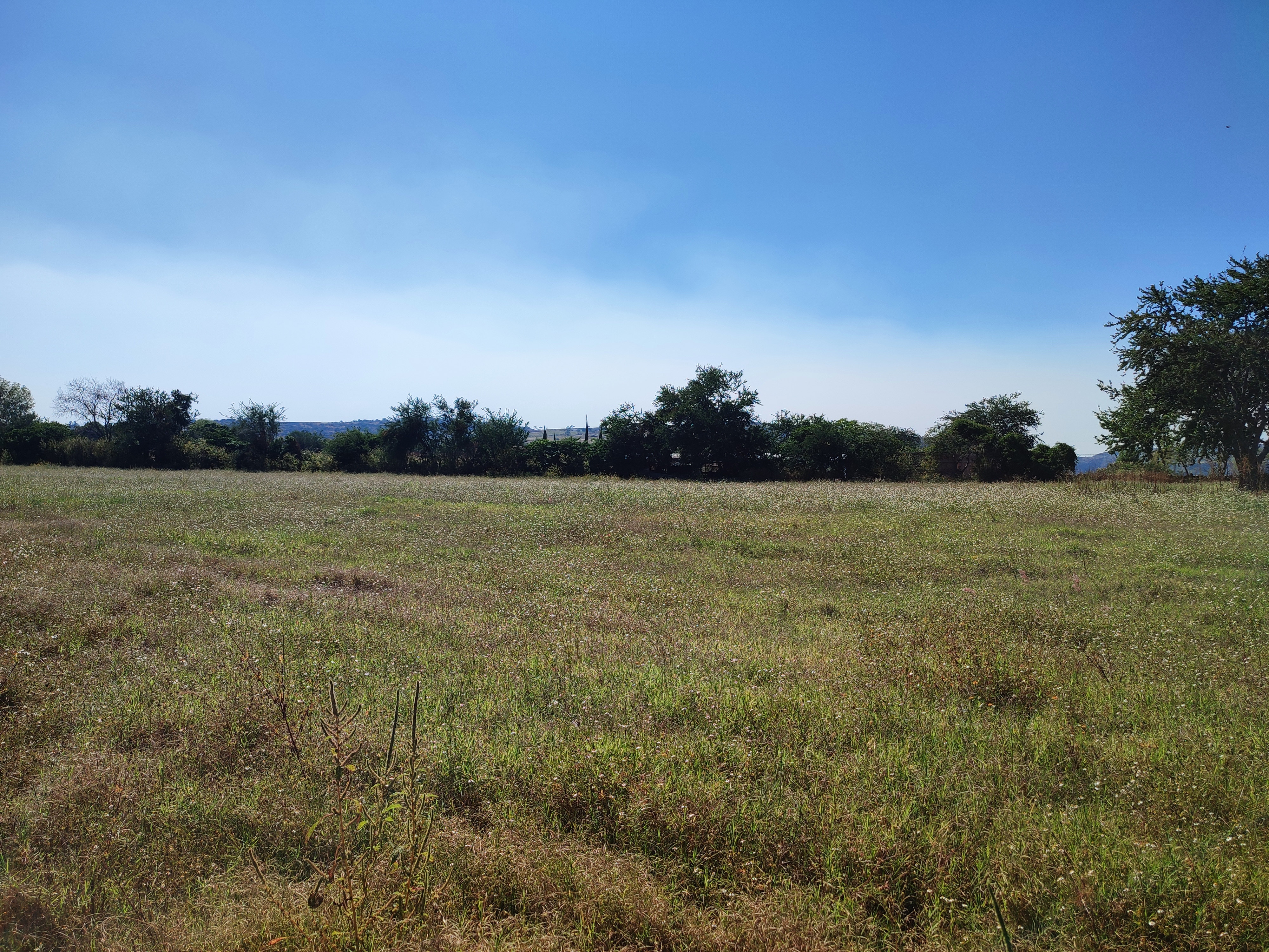 terreno-en-venta-col-matatlan-zapotlanejo-jalisco2-11324