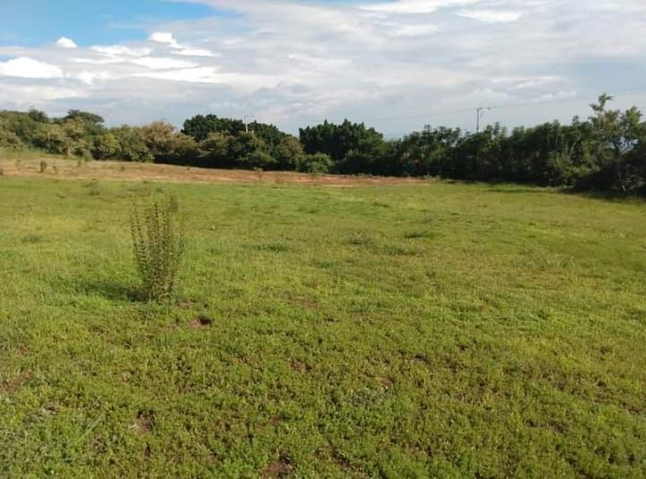 Terreno en venta, Colonia Chisco, Tepoztlán