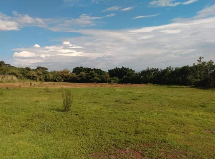 terreno-en-venta-colonia-chisco-tepoztln2-20203