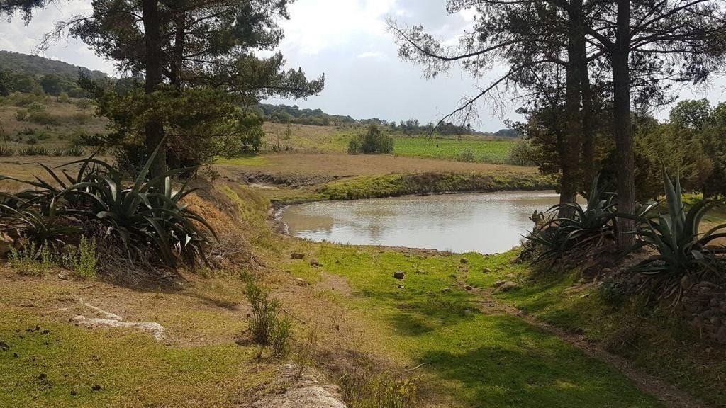 Terreno en Venta con colindancia con presa en Arroyo Zarco Aculco Edo. de México