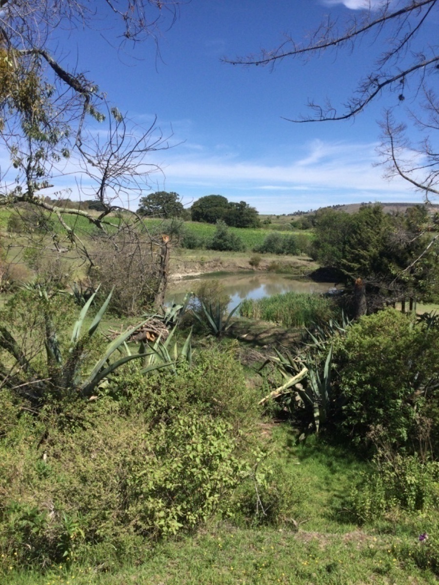 terreno-en-venta-con-colindancia-con-presa-en-arroyo-zarco-aculco-edo-de-mxico14-18894