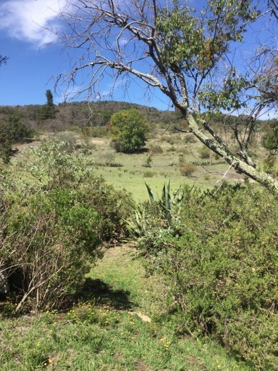 terreno-en-venta-con-colindancia-con-presa-en-arroyo-zarco-aculco-edo-de-mxico15-18894