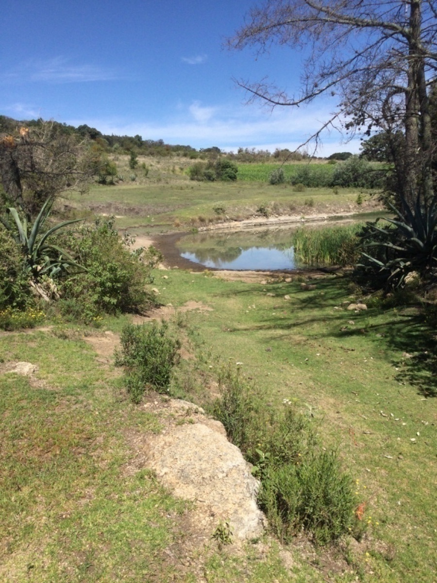 terreno-en-venta-con-colindancia-con-presa-en-arroyo-zarco-aculco-edo-de-mxico18-18894