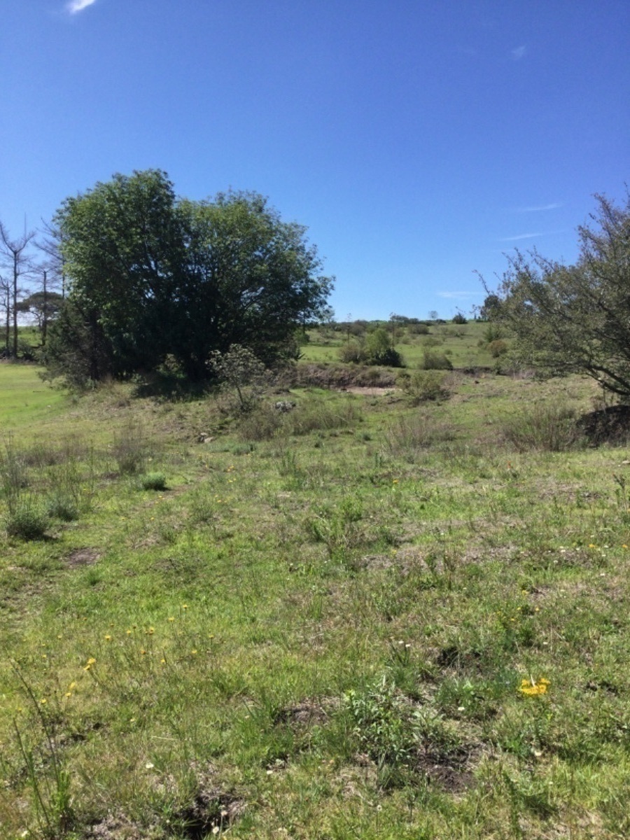 terreno-en-venta-con-colindancia-con-presa-en-arroyo-zarco-aculco-edo-de-mxico21-18894