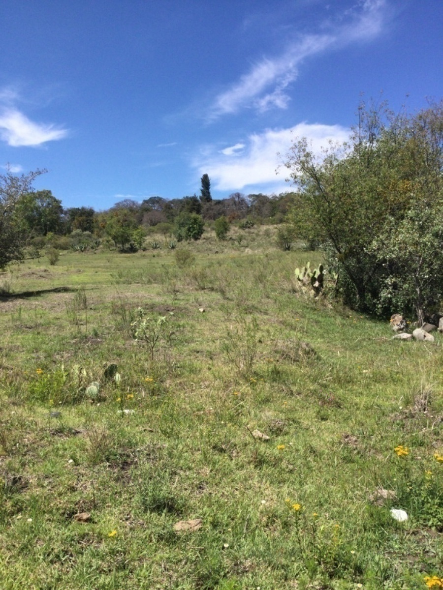 terreno-en-venta-con-colindancia-con-presa-en-arroyo-zarco-aculco-edo-de-mxico22-18894