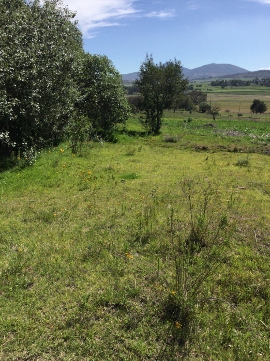 terreno-en-venta-con-colindancia-con-presa-en-arroyo-zarco-aculco-edo-de-mxico25-18894