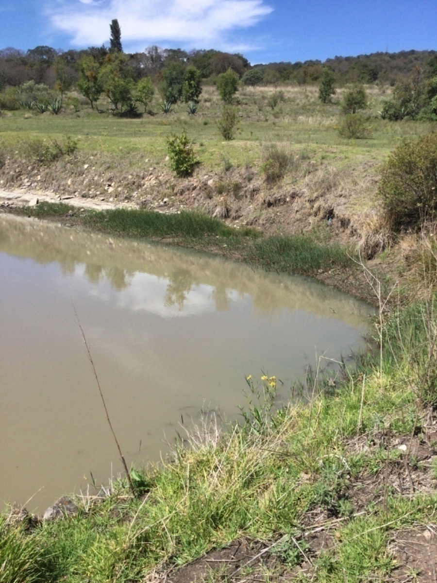 terreno-en-venta-con-colindancia-con-presa-en-arroyo-zarco-aculco-edo-de-mxico27-18894