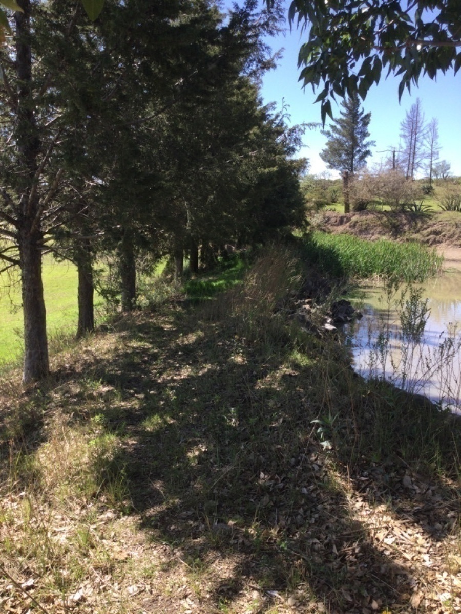 terreno-en-venta-con-colindancia-con-presa-en-arroyo-zarco-aculco-edo-de-mxico33-18894