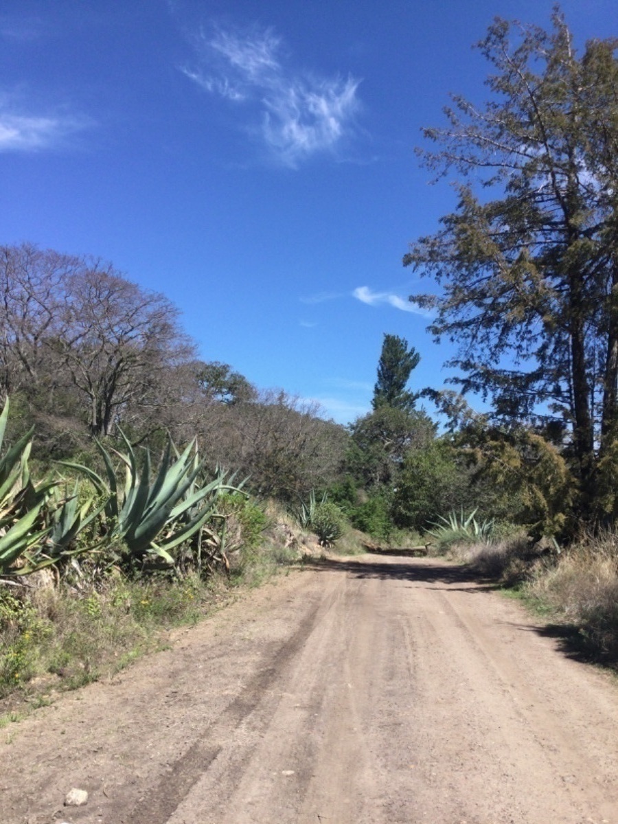 terreno-en-venta-con-colindancia-con-presa-en-arroyo-zarco-aculco-edo-de-mxico38-18894