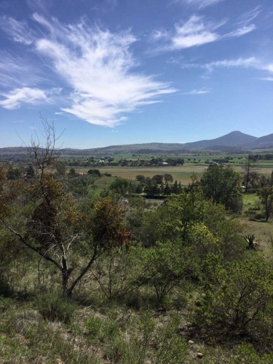 terreno-en-venta-con-colindancia-con-presa-en-arroyo-zarco-aculco-edo-de-mxico44-18894