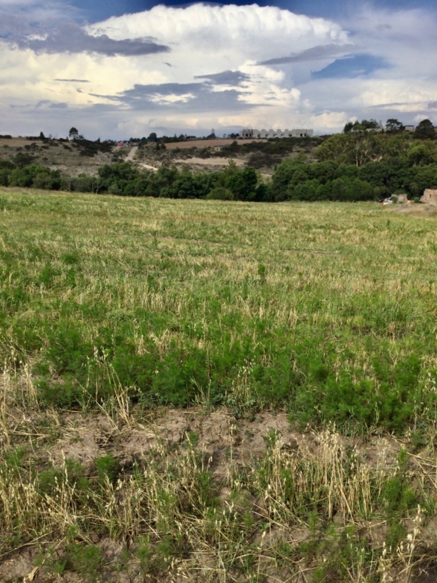 terreno-en-venta-con-hermosas-vistas-ideal-para-rancho-en-aculco-edo-de-mxico13-18899