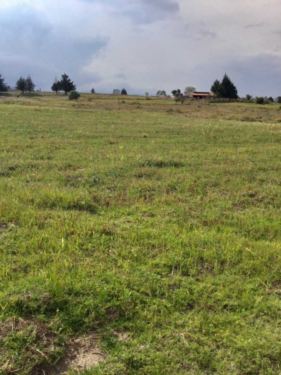 terreno-en-venta-con-hermosas-vistas-ideal-para-rancho-en-aculco-edo-de-mxico16-18899