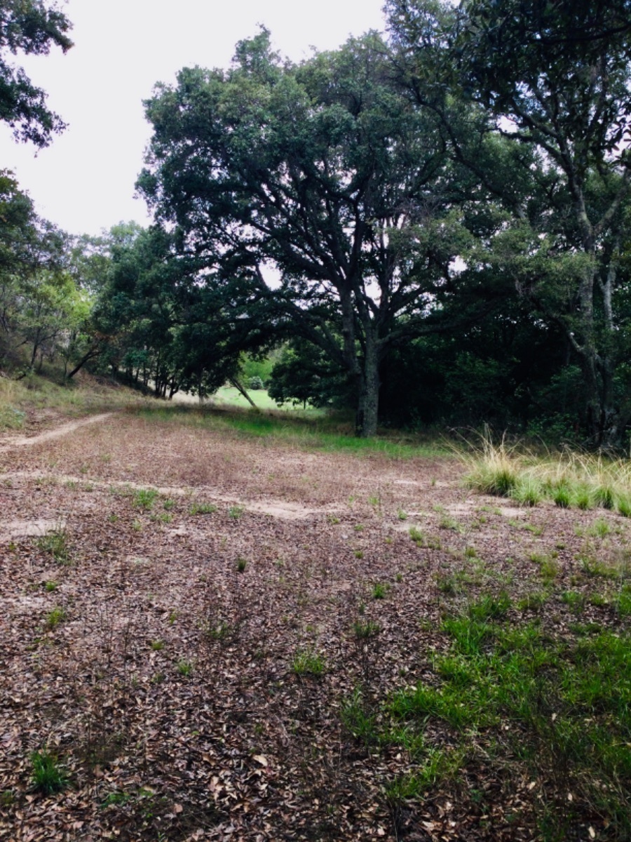 terreno-en-venta-con-hermosas-vistas-ideal-para-rancho-en-aculco-edo-de-mxico20-18899