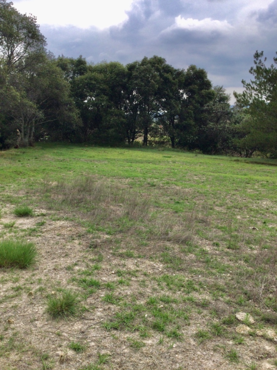 terreno-en-venta-con-hermosas-vistas-ideal-para-rancho-en-aculco-edo-de-mxico23-18899