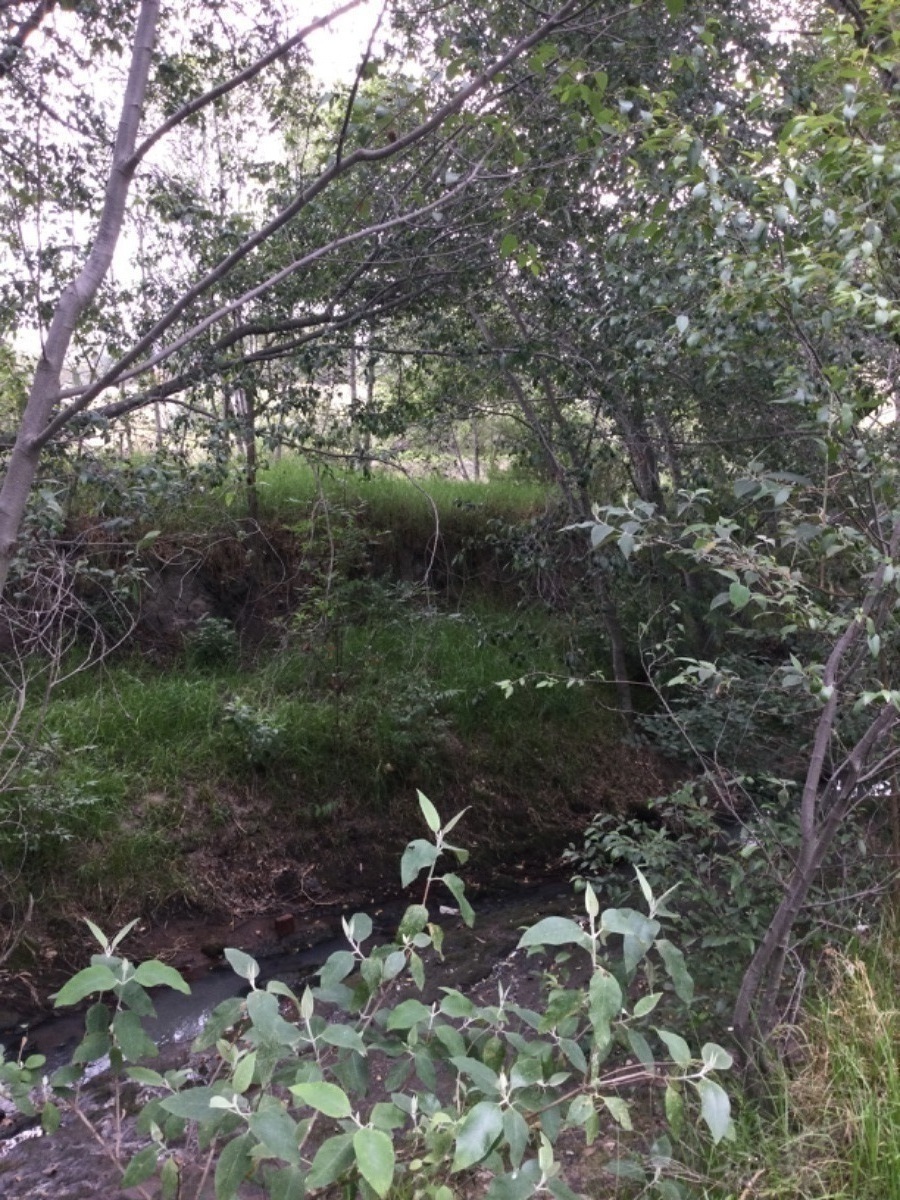 terreno-en-venta-con-hermosas-vistas-ideal-para-rancho-en-aculco-edo-de-mxico27-18899